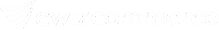 Ewiz Logo